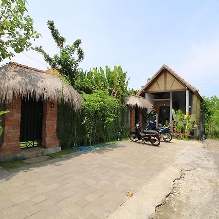 Green Bowl Bali Homestay Kuta Selatan Eksteriør billede